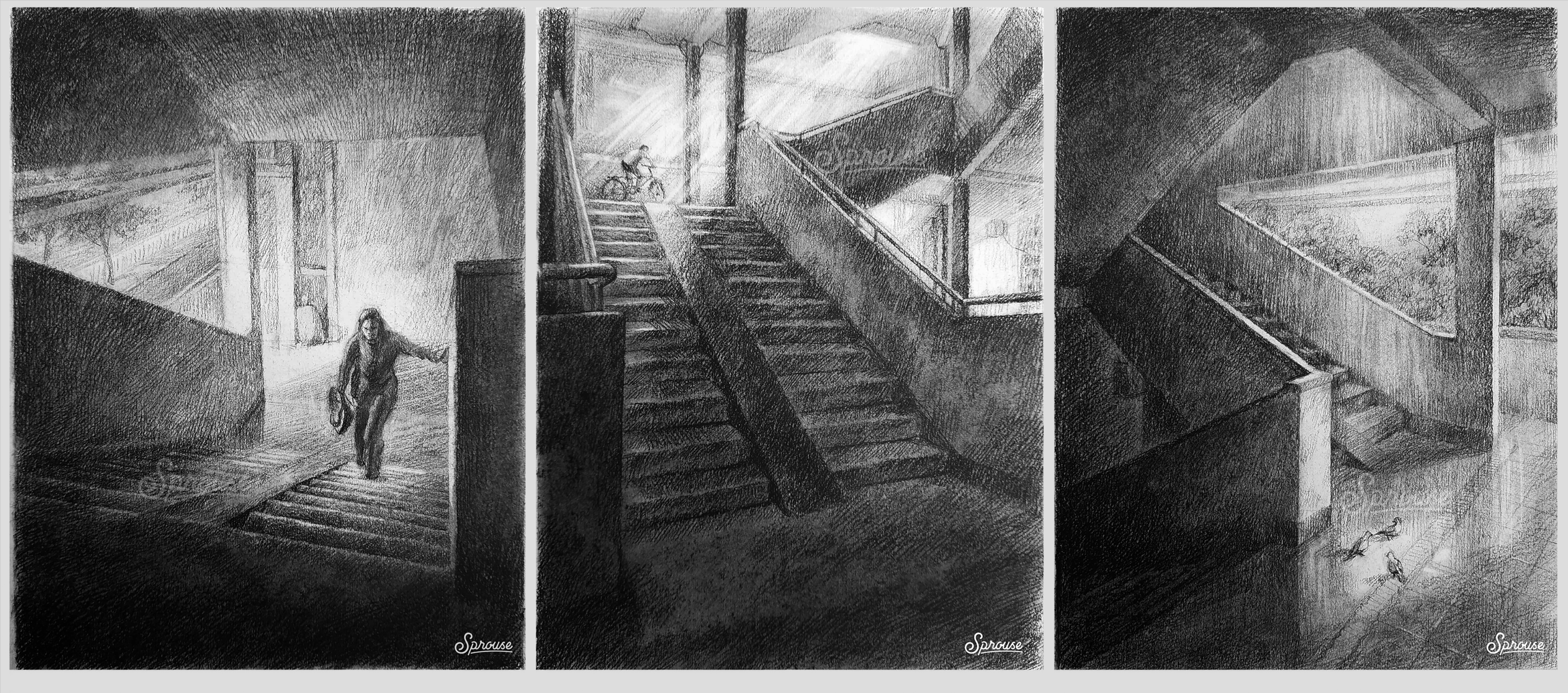 Sprouse's Journey